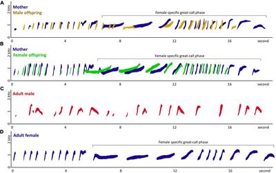 Transient co-singing of offspring and mothers in non-duetting Javan gibbons (Hylobates moloch)